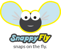 snappyfly image