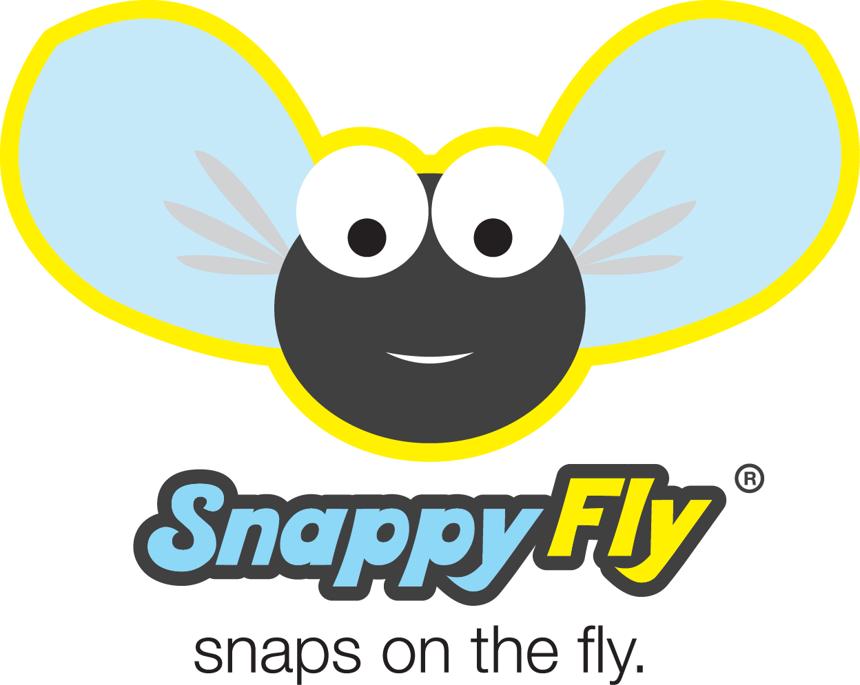 snappyfly image
